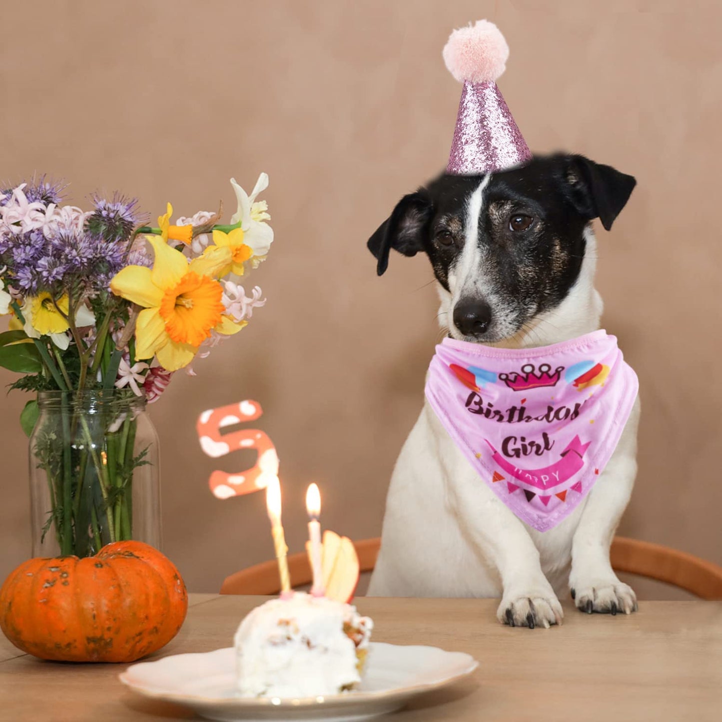 Pink Pet Birthday Party Supplies