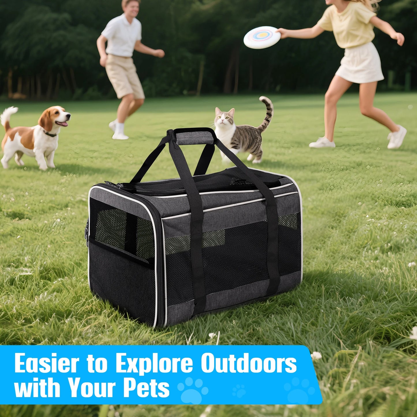 Pet Carrier with Wheels