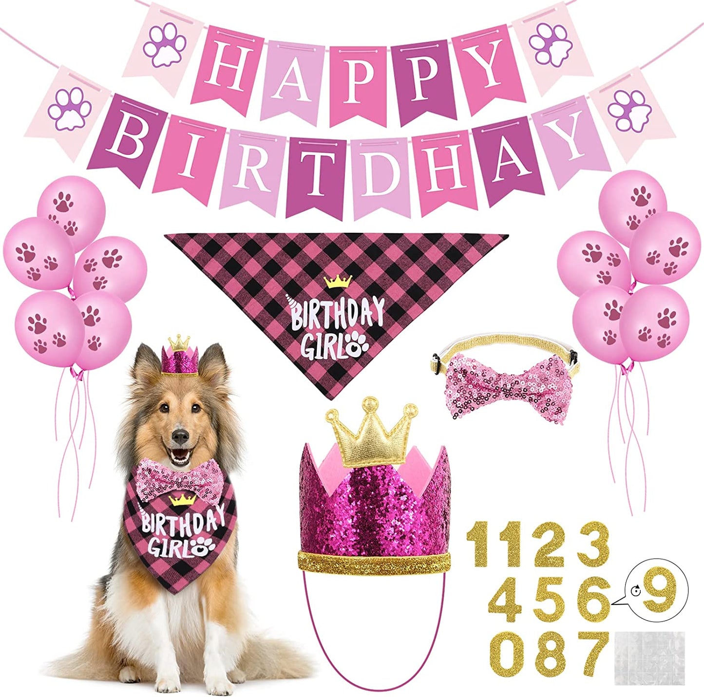 Blue Pet Birthday Party Supplies