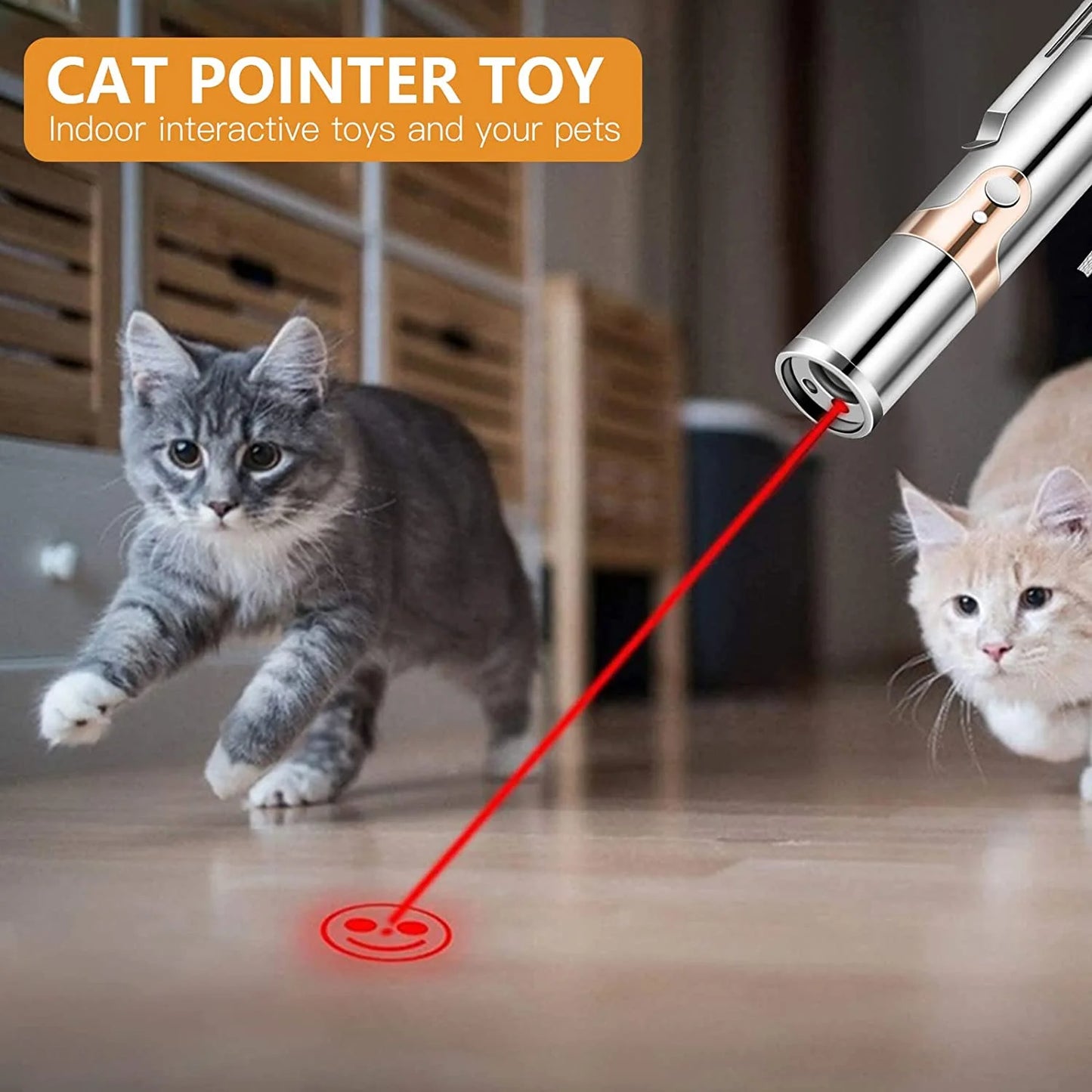 Laser Pointer 