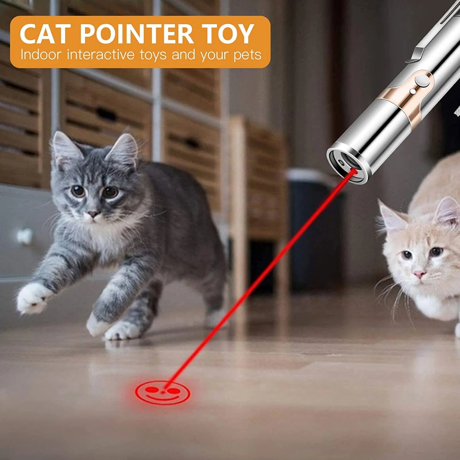 Laser Pointer 
