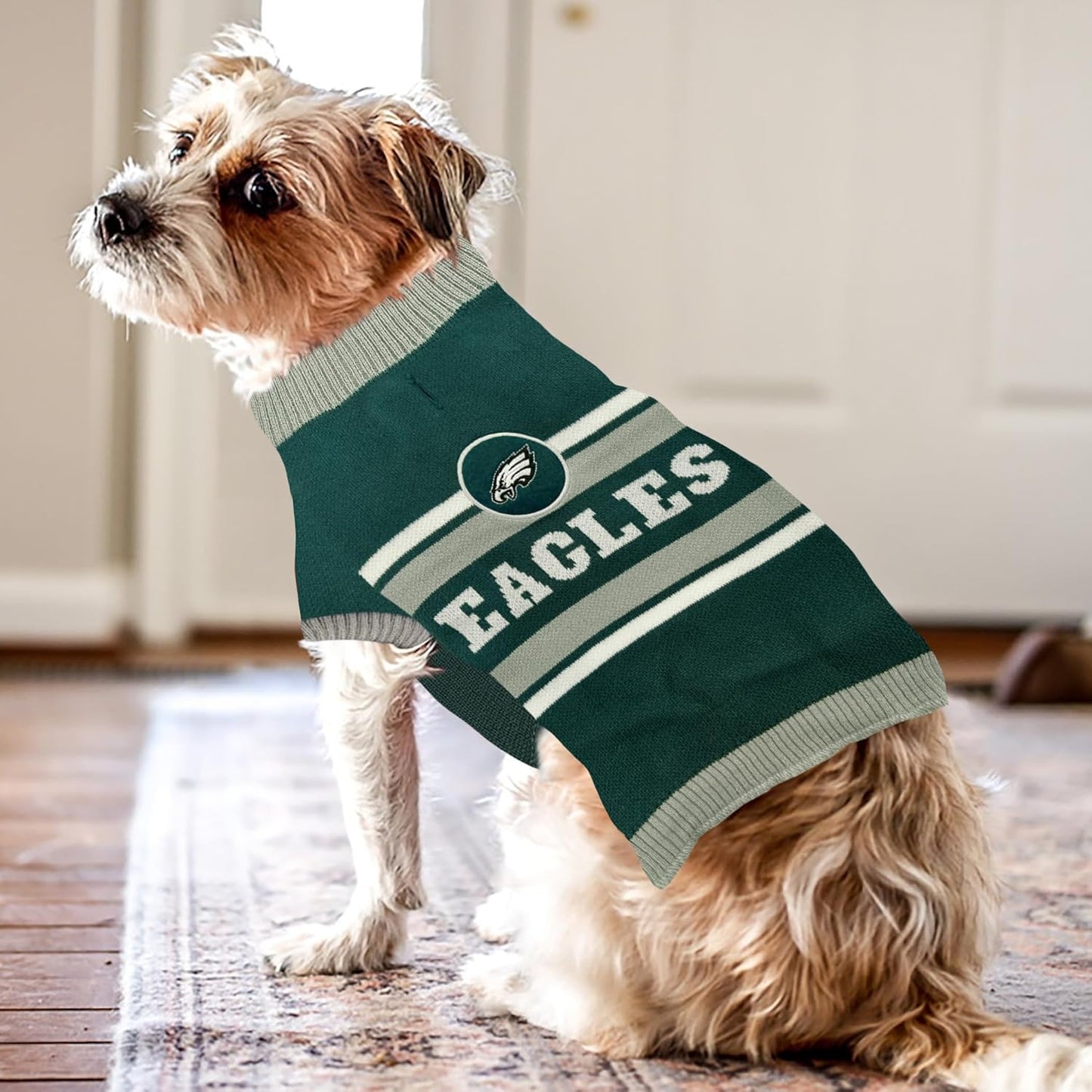 Philadelphia Eagles Dog Sweater