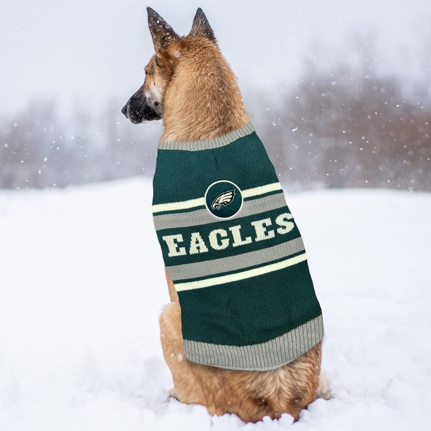 Philadelphia Eagles Dog Sweater