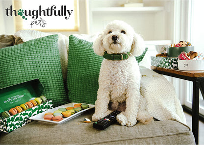  Holiday Gourmet Cookies Gift Set