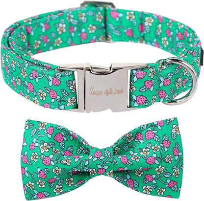 Blue Bowtie Collar 