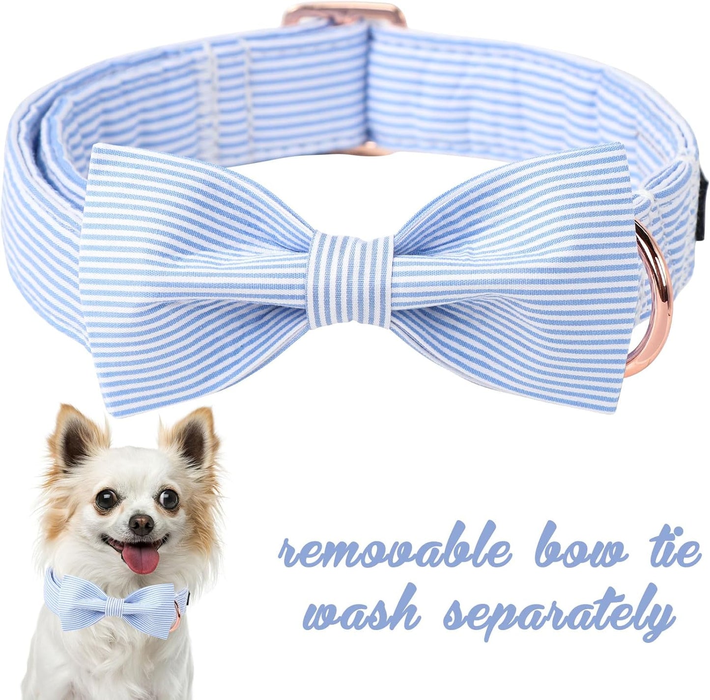 Blue Bowtie Collar 