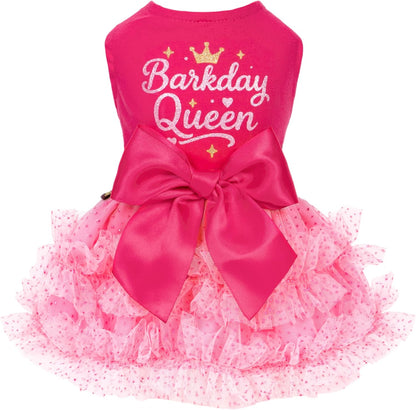 Pink Birthday Girl Dress 
