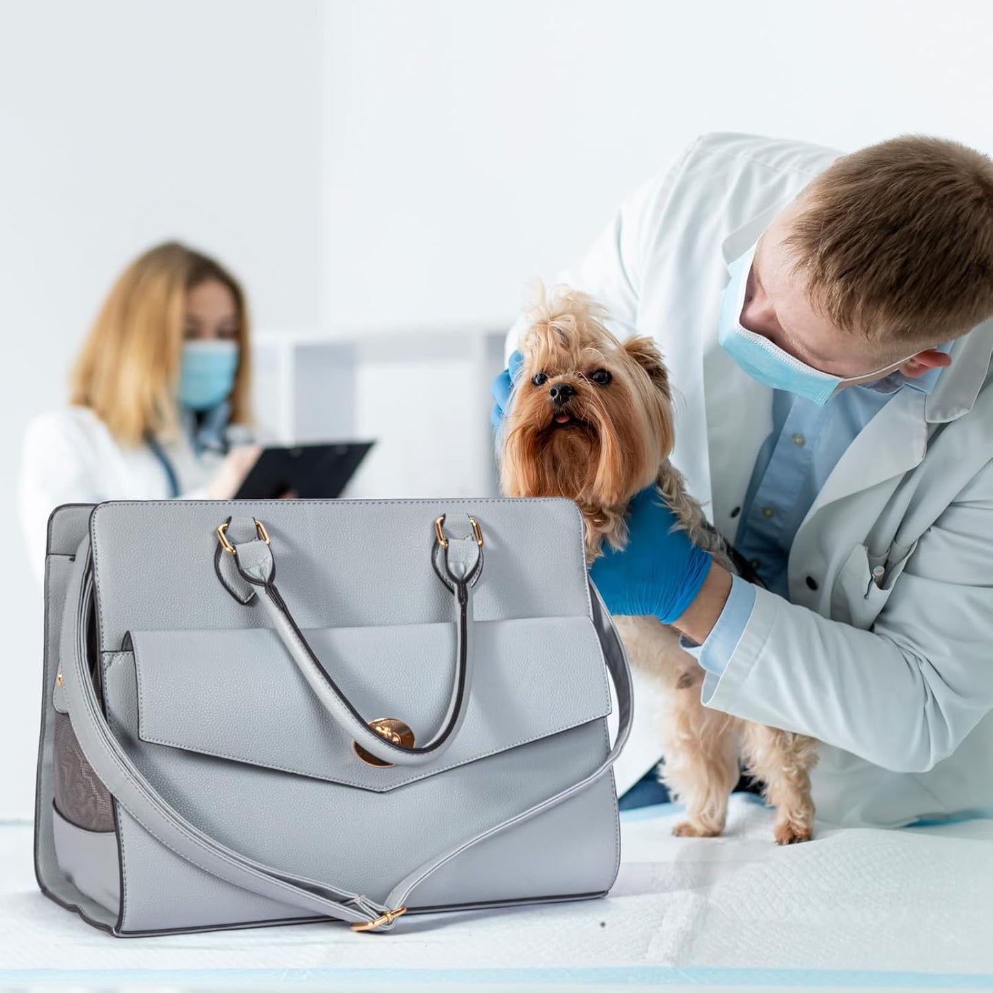 Stylish Pet Carrier Purse 