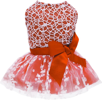 Such A Pretty Girl Dress 