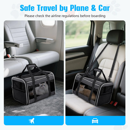 Pet Carrier with Wheels 