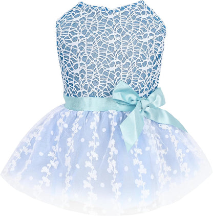 Such A Pretty Girl Dress 