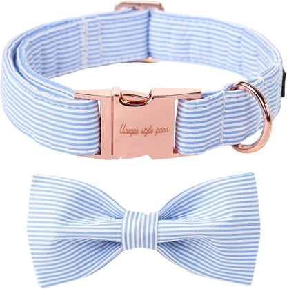 Blue Bowtie Collar 