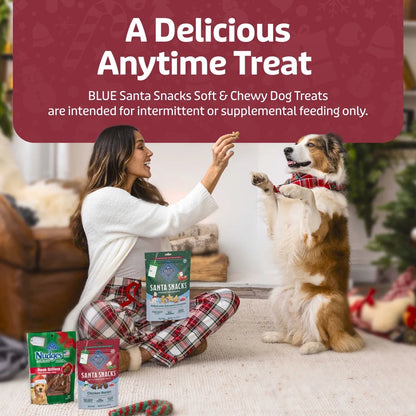 Santa Snacks Soft-Moist Dog Bits for Training, Chicken, 4.5-Oz. Bag