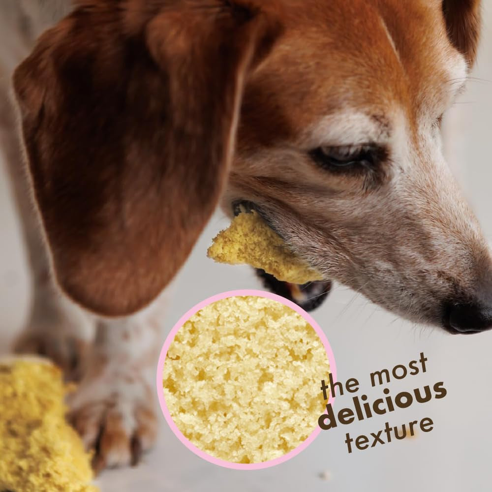 Dog Birthday Cake Kit 