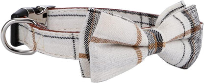 Oh So Plaid Bowtie Collar 
