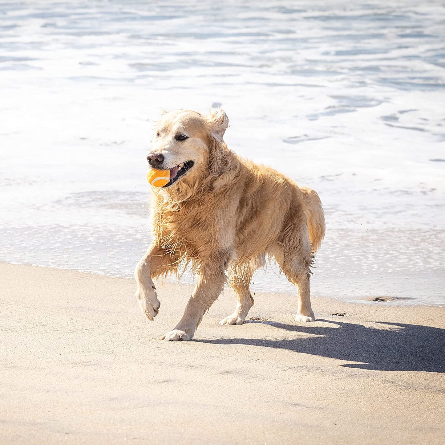 Tennis Balls, Pack of 4