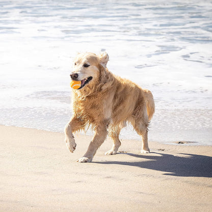 Tennis Balls, Pack of 4