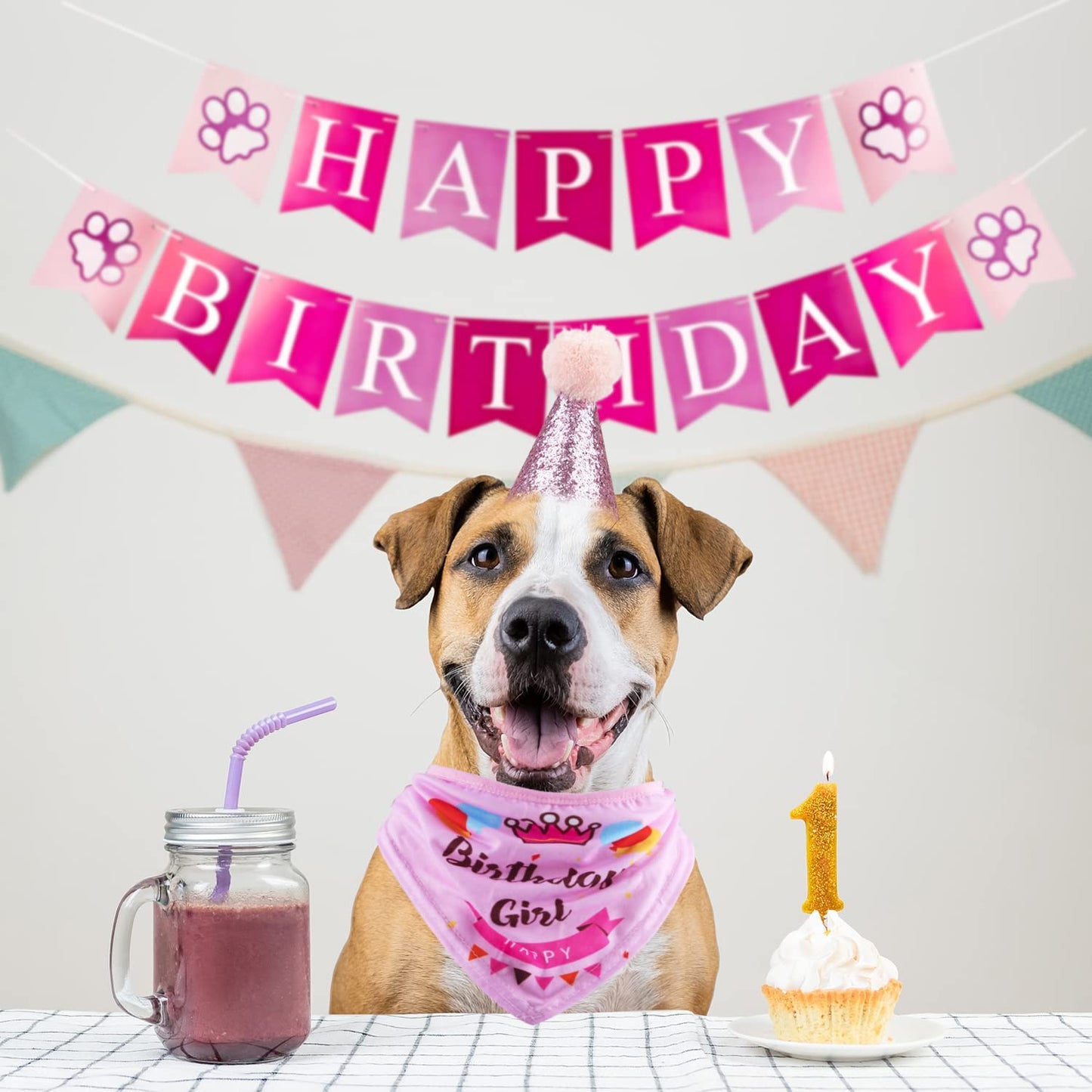 Pink Pet Birthday Party Supplies 