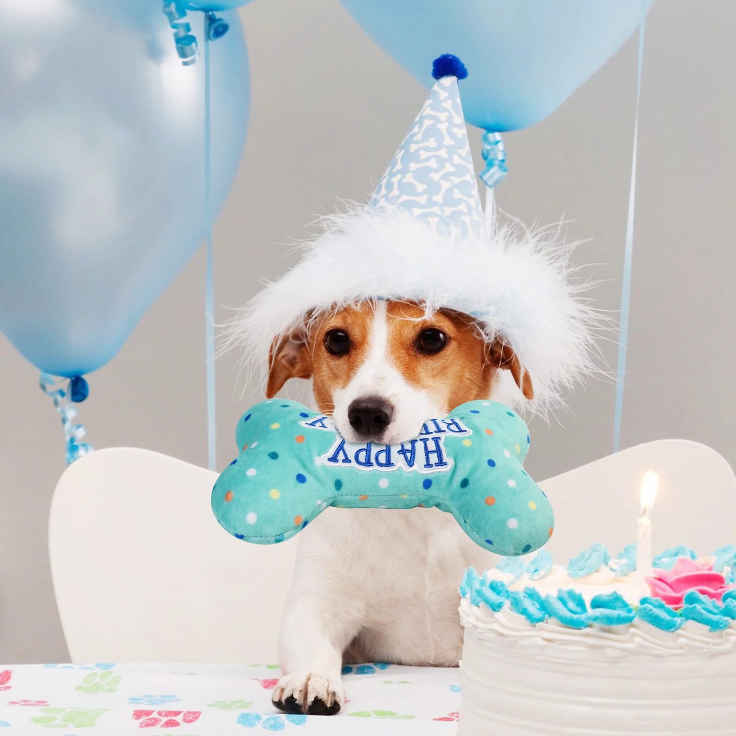 Dog Birthday Toy