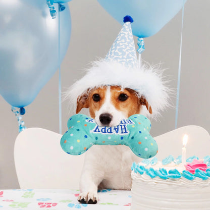 Dog Birthday Toy