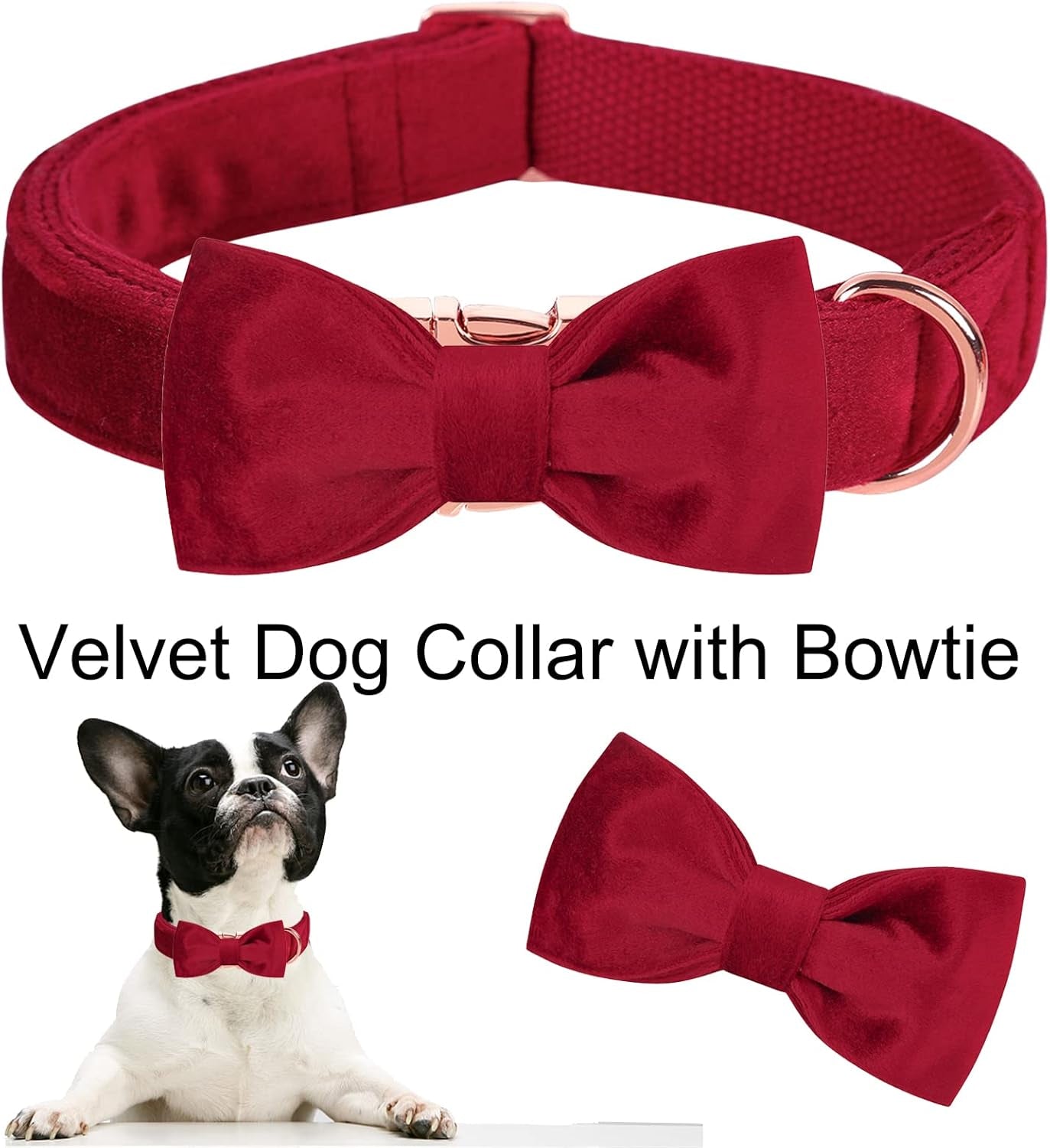 The Velvet Collar 