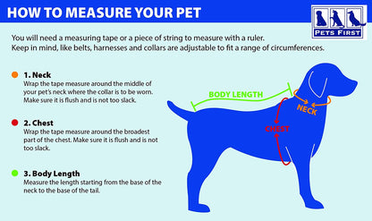 Philadelphia Eagles Dog Sweater