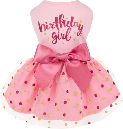 Pink Birthday Girl Dress 
