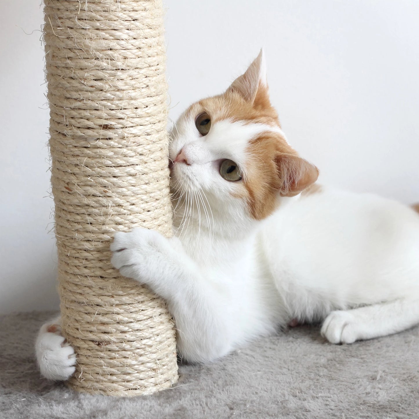 3-Tier Cat Tree 