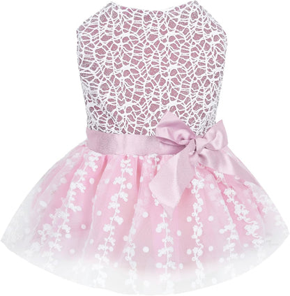 Such A Pretty Girl Dress 