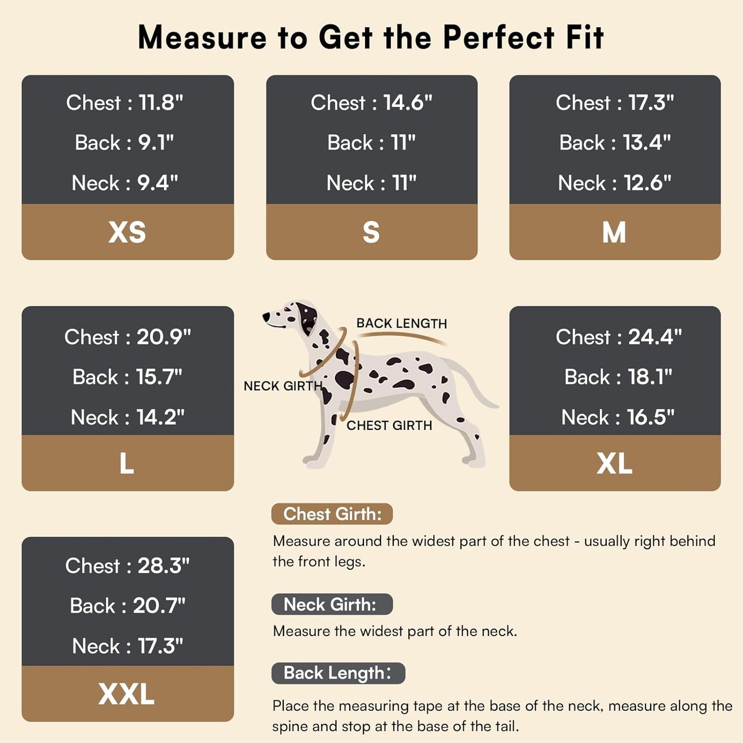 The Purrfect Knit Sweater 