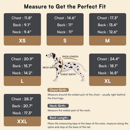 The Purrfect Knit Sweater 