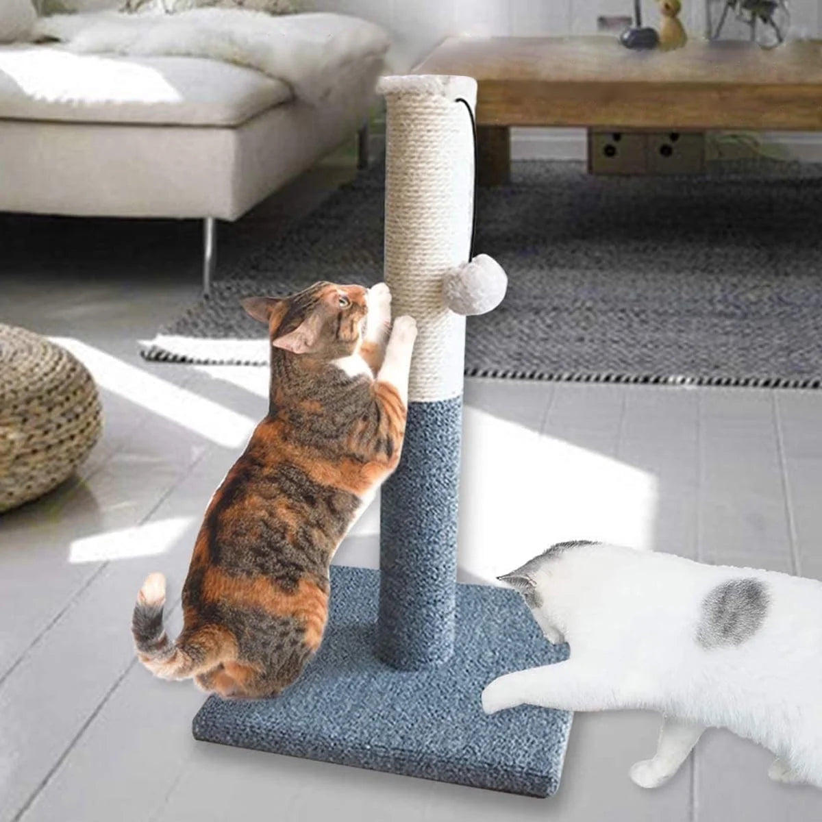 Scratching Post 