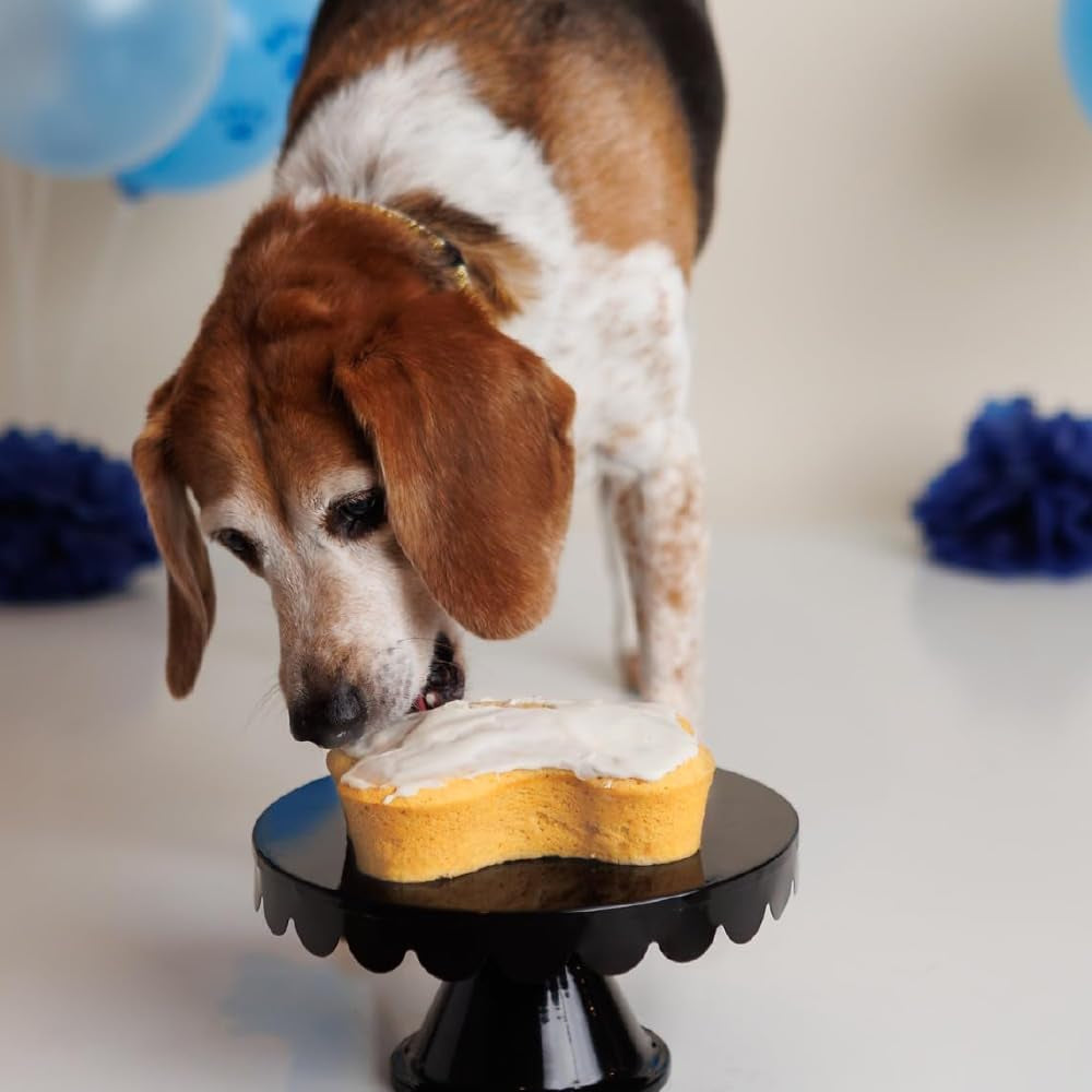Dog Birthday Cake Kit 