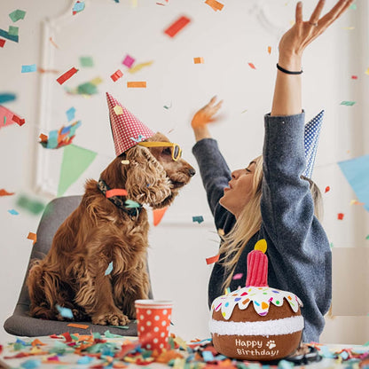 Birthday Cake Plush Toy 