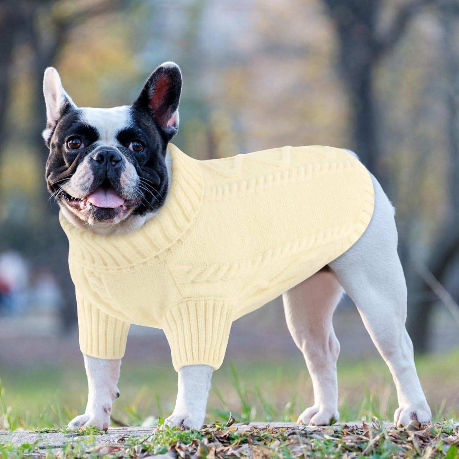 The Purrfect Knit Sweater 