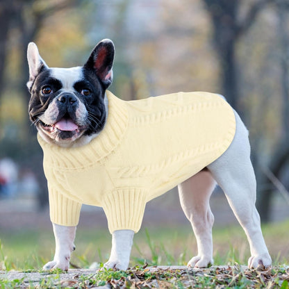 The Purrfect Knit Sweater 