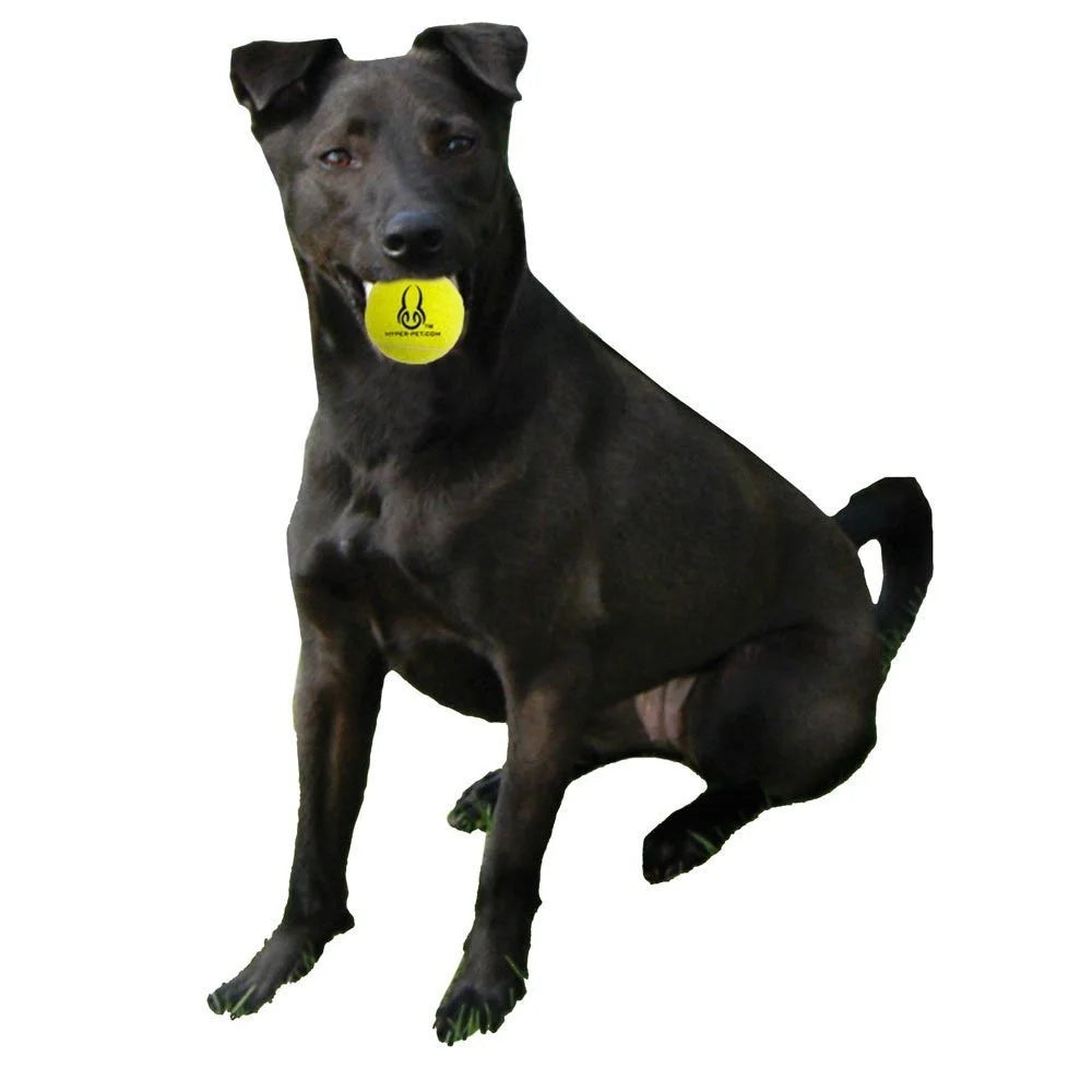 Tennis Balls, Pack of 4