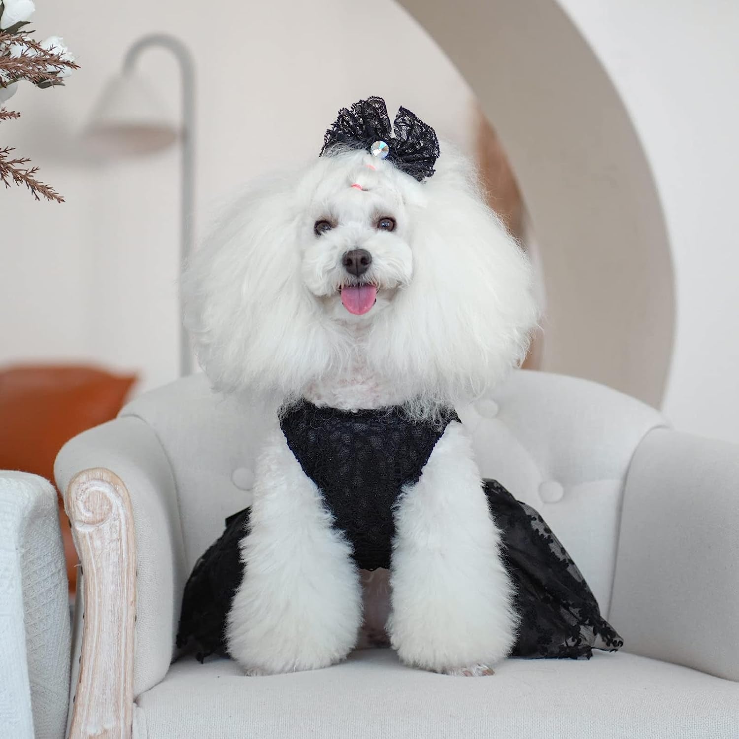 Such A Pretty Girl Dress 